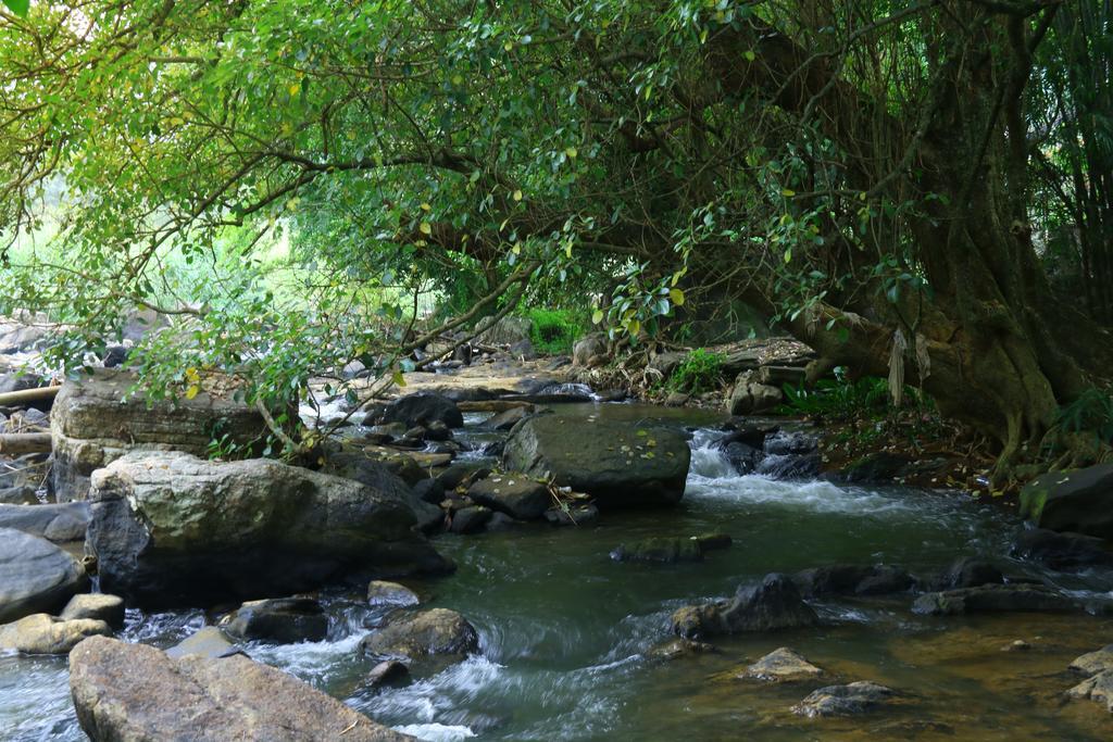 Nivahana Homestay Kandy Extérieur photo
