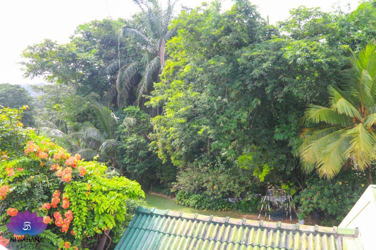 Nivahana Homestay Kandy Extérieur photo