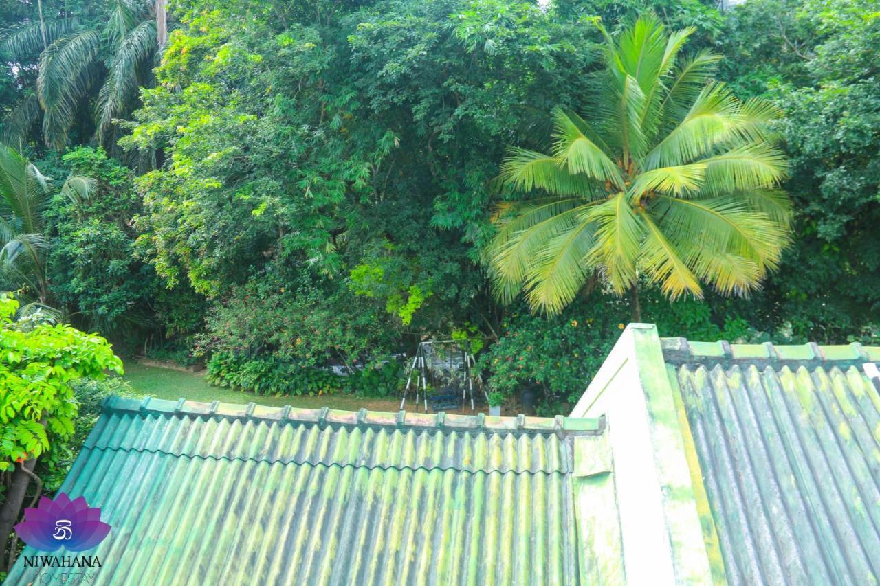 Nivahana Homestay Kandy Extérieur photo